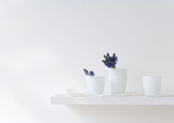 Home Fragrance