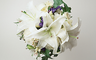 Lily tenderness
