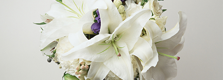 Lily tenderness