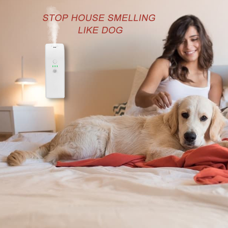 What is Scent Branding?